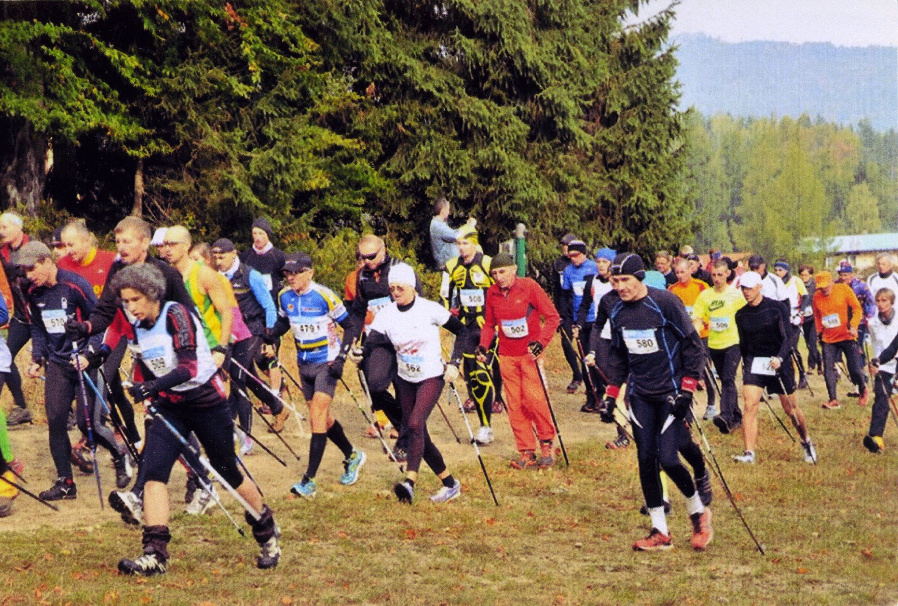 Норвезька ходьба