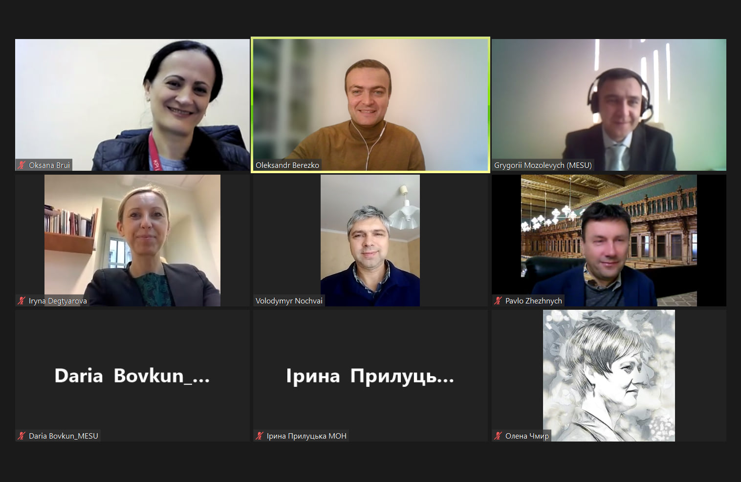 Скріншот з онлайн-засідання
