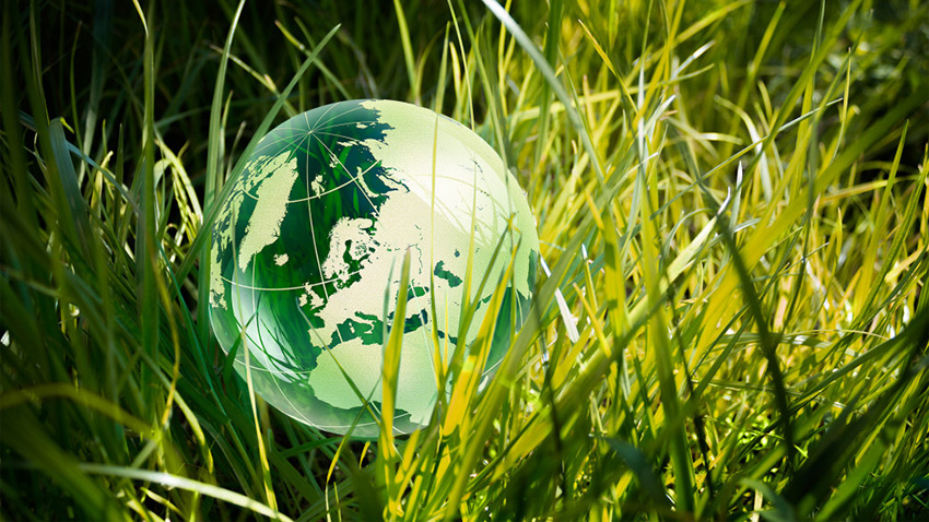 Заставка до конференції