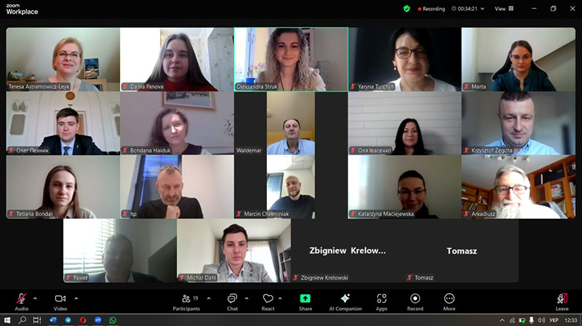 Скріншот з онлайн-семінару