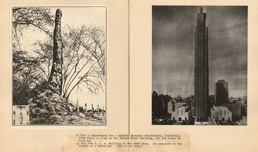 Заставка до заходу