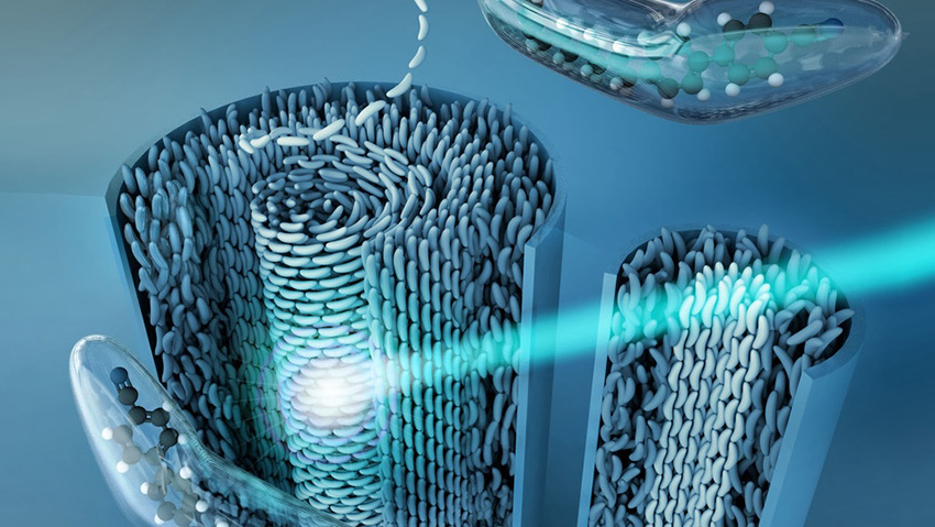 Ілюстрація до матеріалу