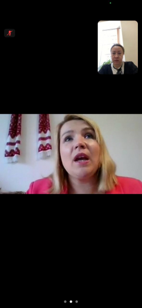 Скріншот з онлайн-лекції