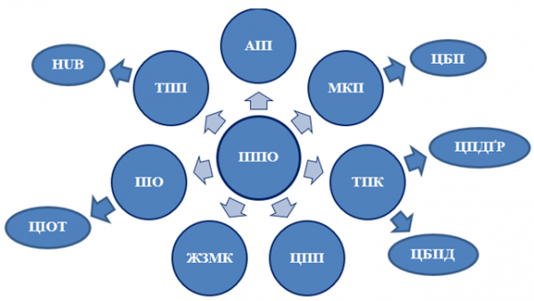 структура схема іппо