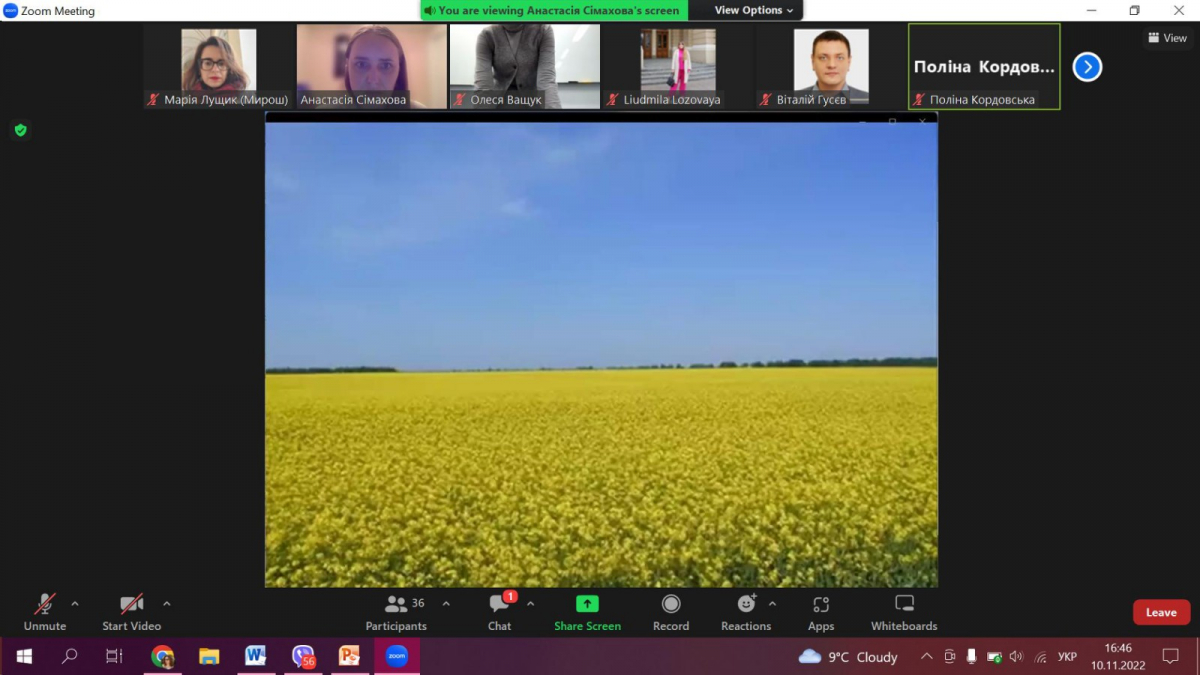 Скріншот з онлайн-заходу