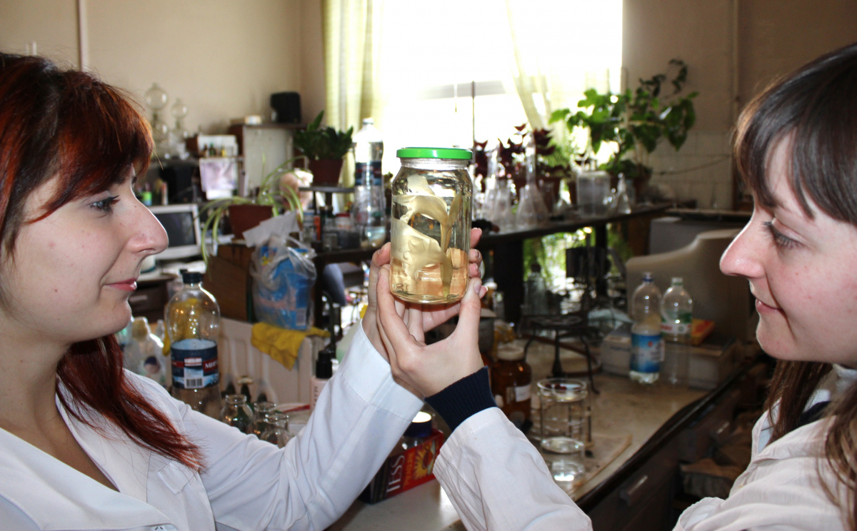 студенти кафедри ТБСФБ