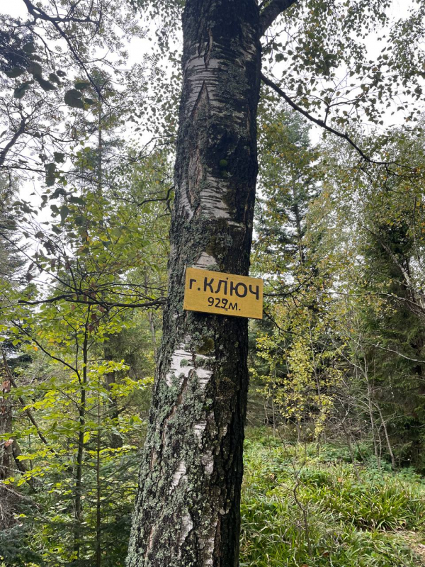 Фото з маршруту