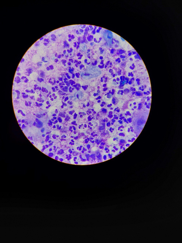 Фото з відвідин лабораторії