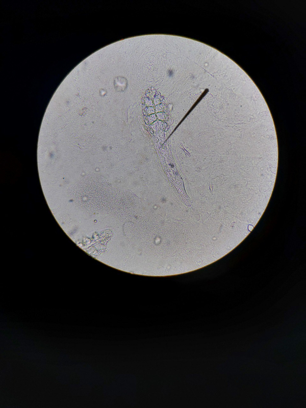 Фото з відвідин лабораторії