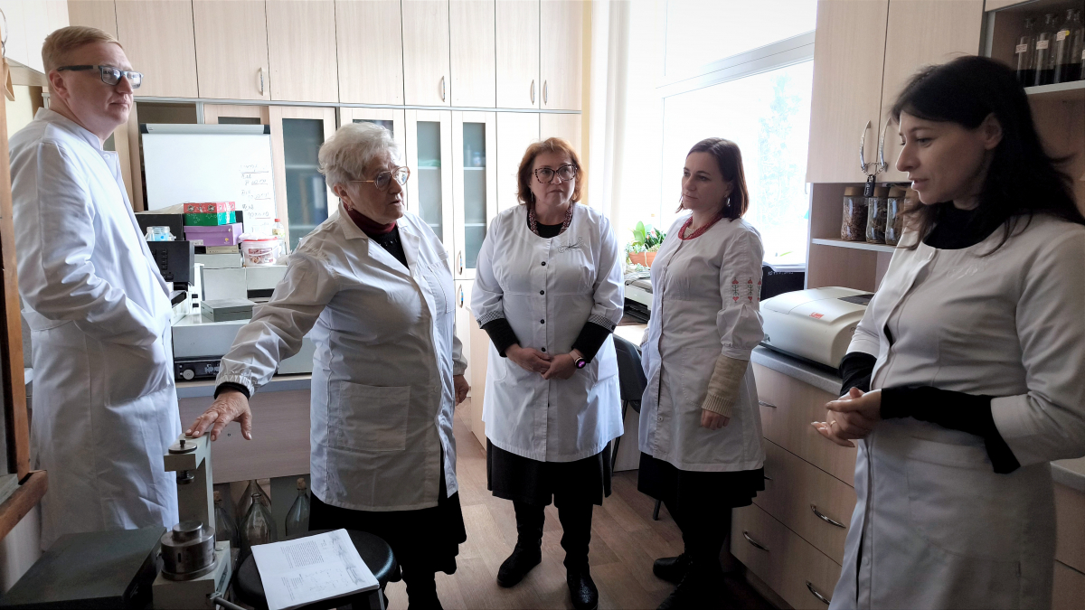 Фото зі стажування