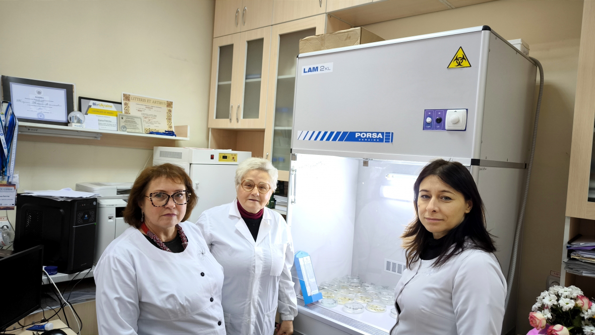 Фото зі стажування