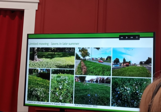 Фото із заходу