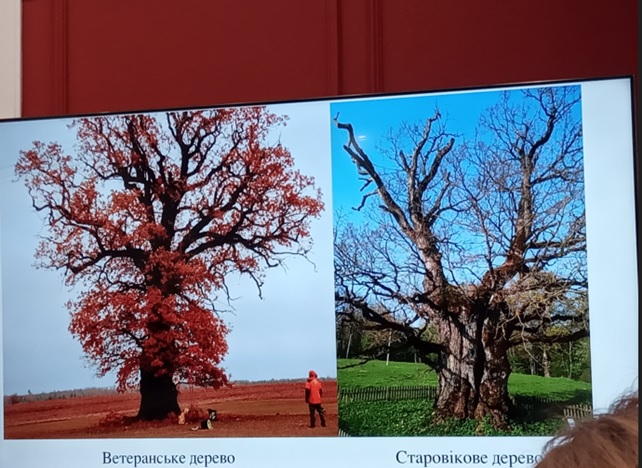 Фото із заходу