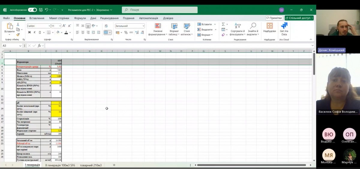 Скріншот з онлайн-лекції