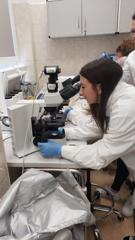 Фото зі стажування у Польщі