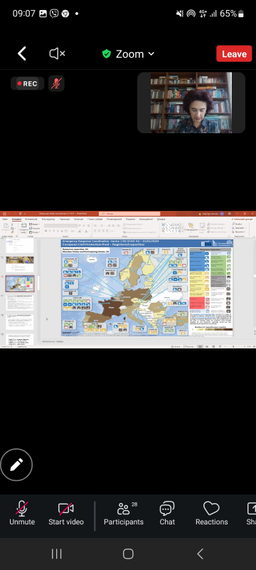 Скріншот з онлайн-лекції
