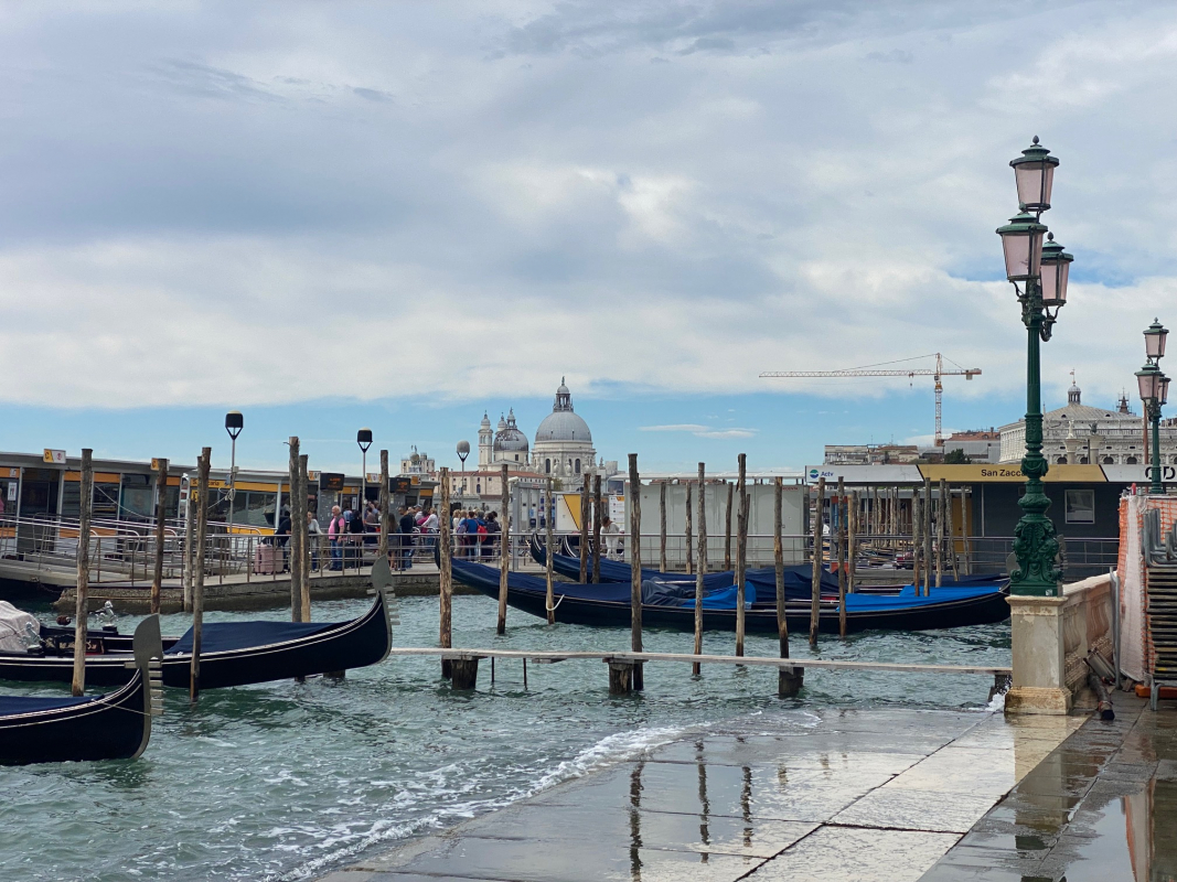 Фото з лекції