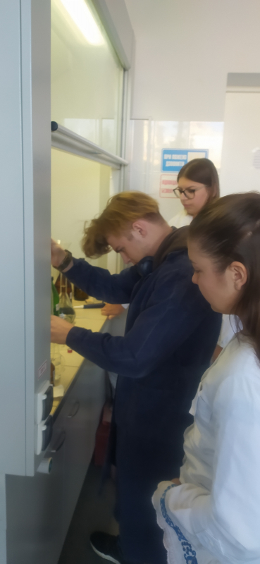 Фото із заняття