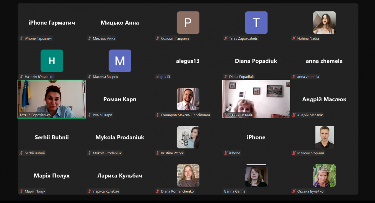 Скріншот з онлайн-семінару