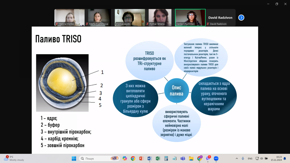 Скріншот з онлайн-заходу