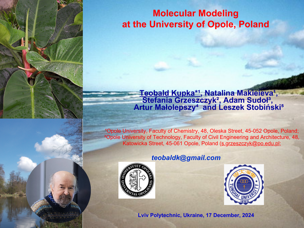 Скріншот з онлайн-лекції