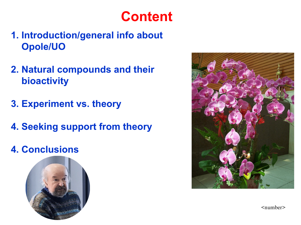 Скріншот з онлайн-лекції