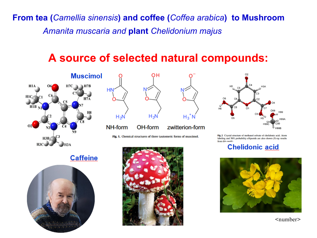Скріншот з онлайн-лекції