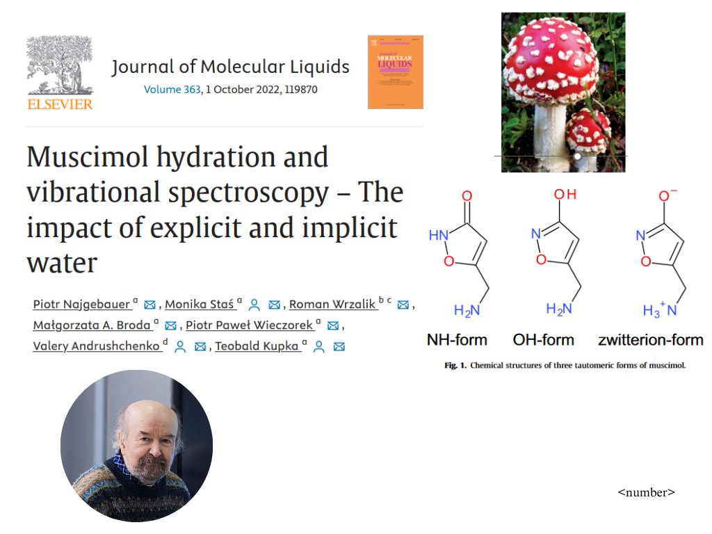 Скріншот з онлайн-лекції