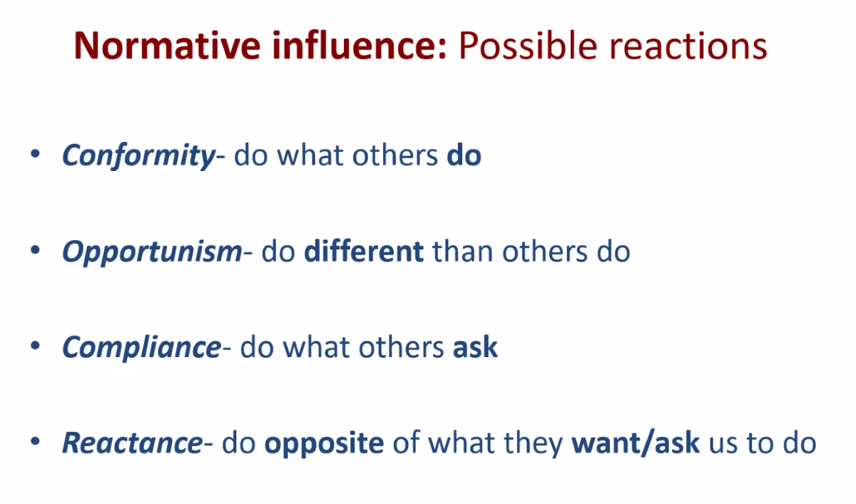 Скріншот з онлайн-лекції