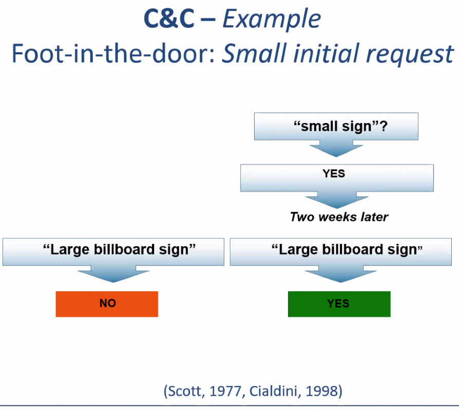 Скріншот з онлайн-лекції