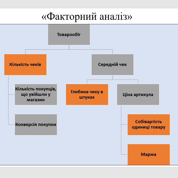 Скріншот з онлайн-лекції