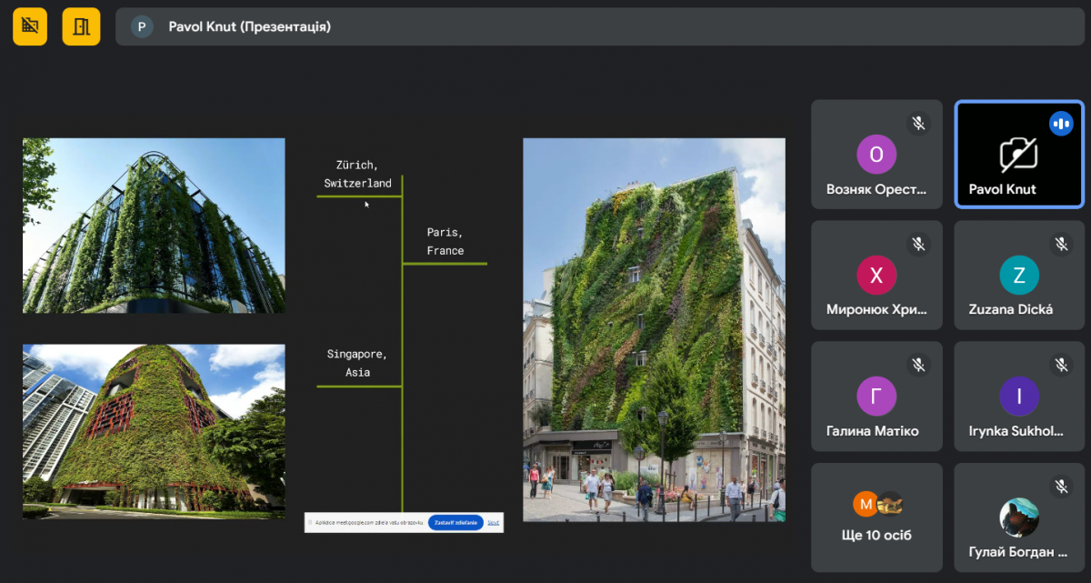 Скріншот з онлайн-конференції