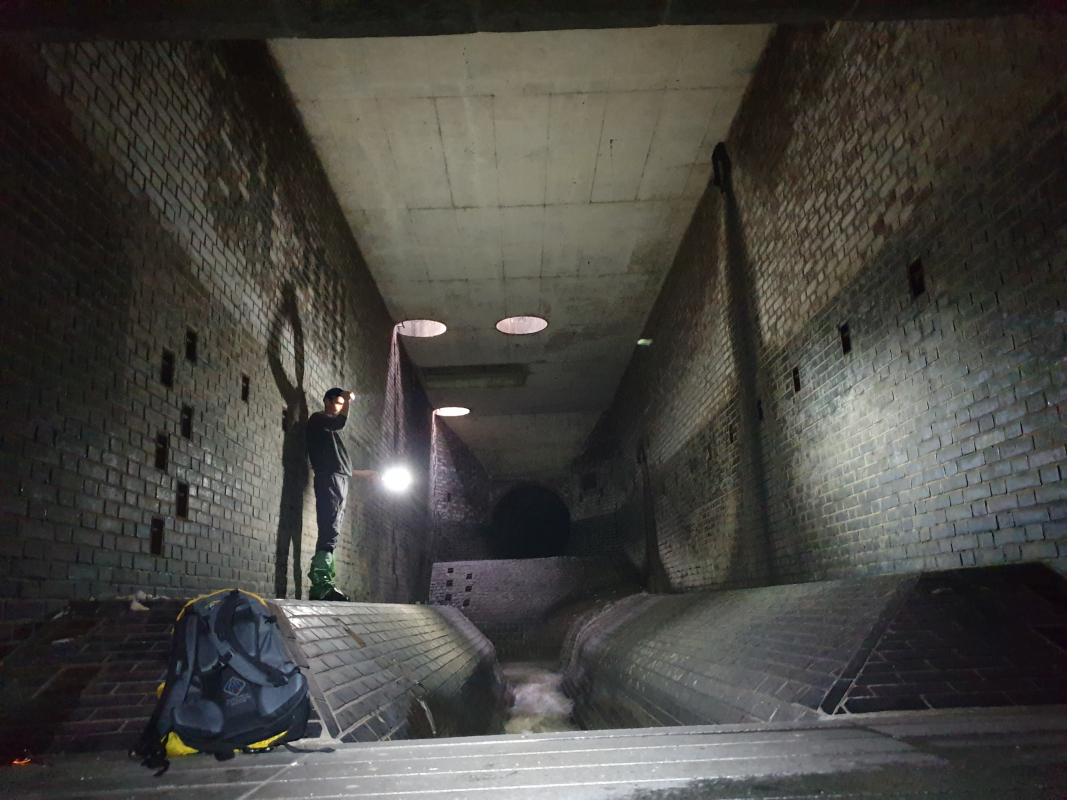 Ілюстрація до матеріалу