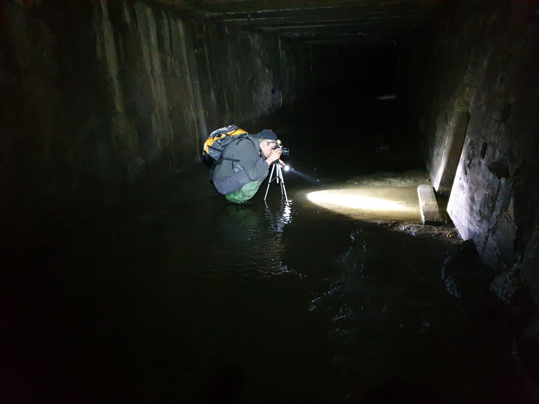 Ілюстрація до матеріалу