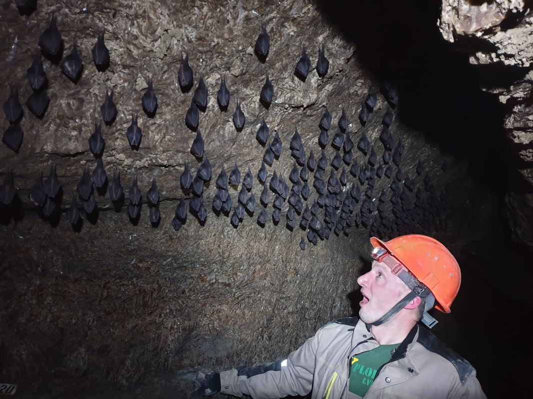 Андрій Риштун