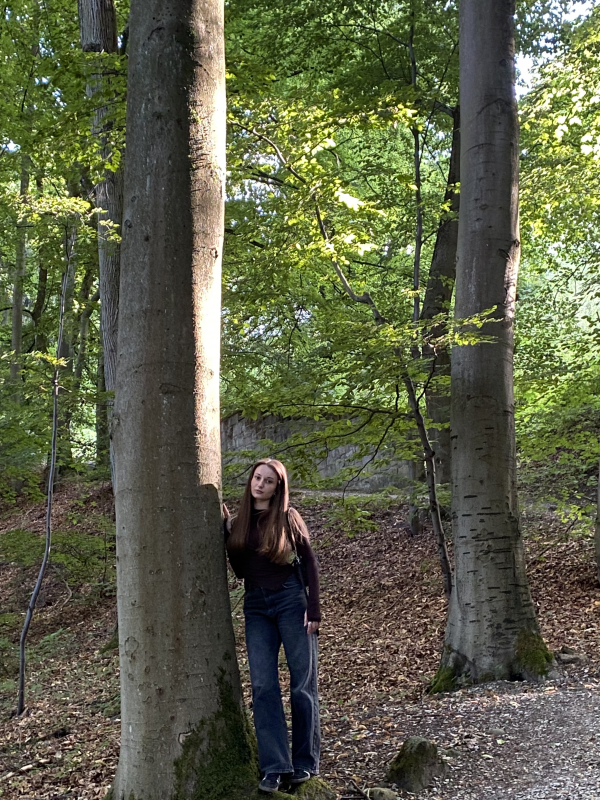 Фото з програми мобільності в Німеччині