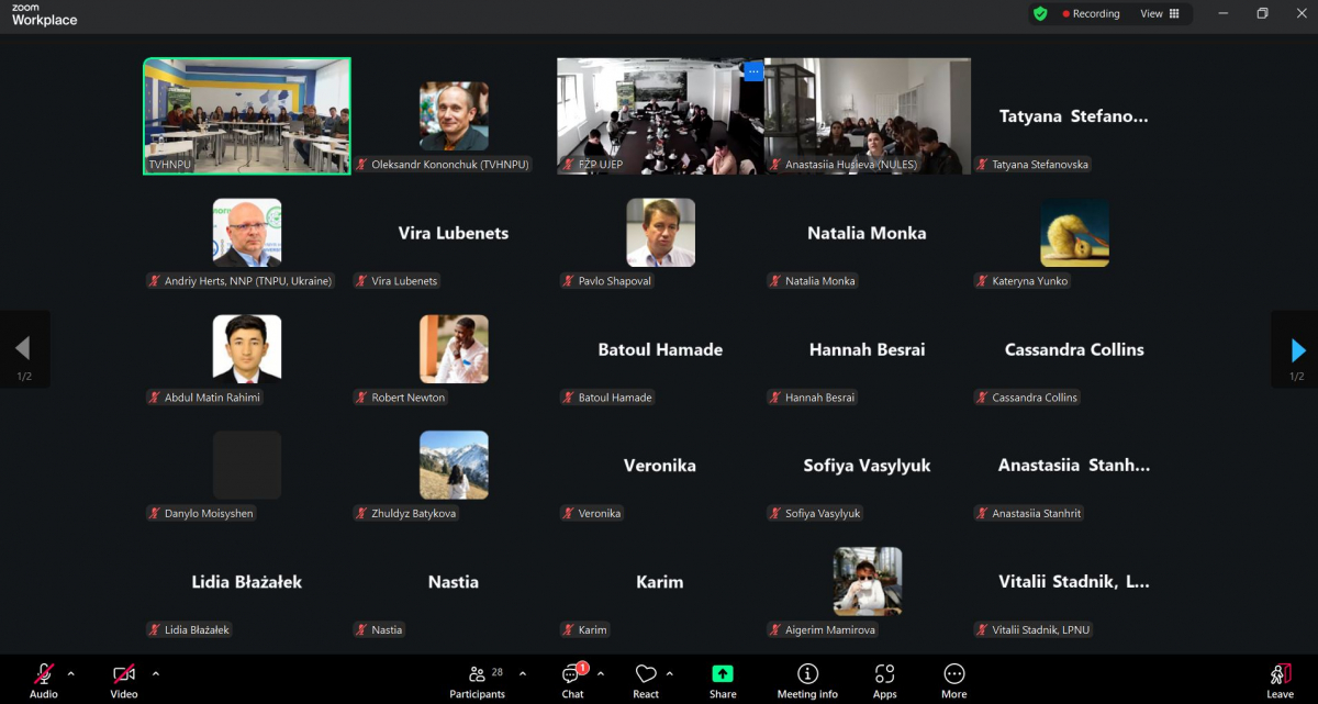 Скріншот з онлайн-заходу проєкту