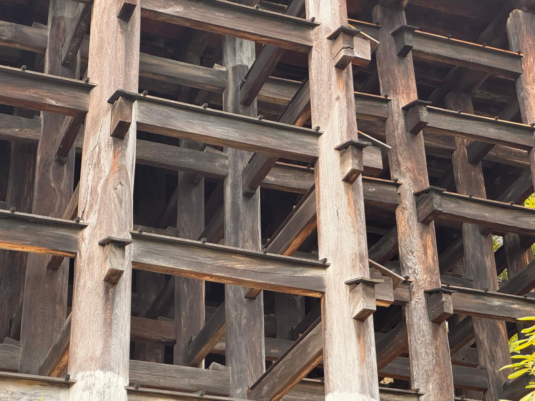 Фото з EXPO 2025