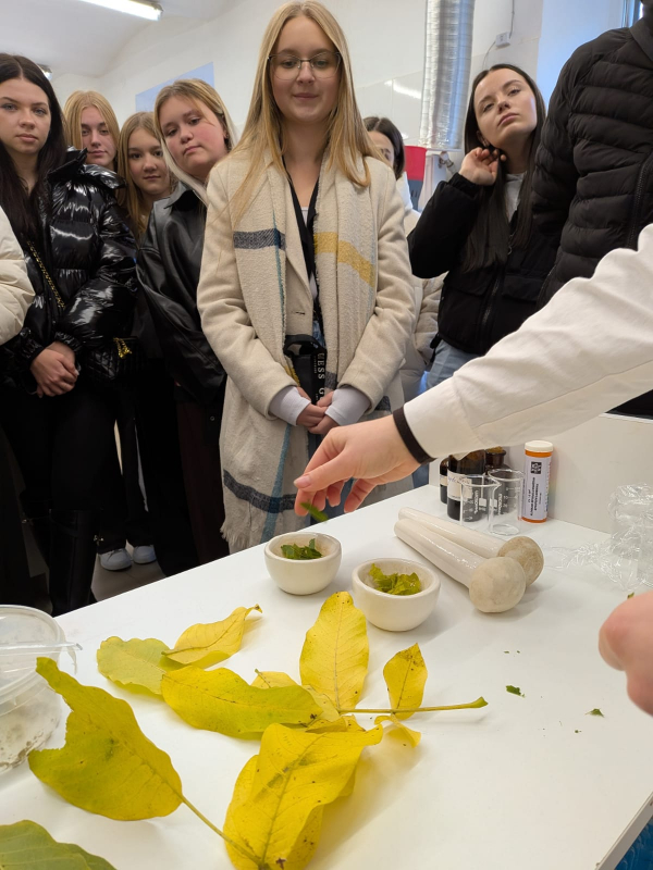 Фото із заходу в Tech StartUp School