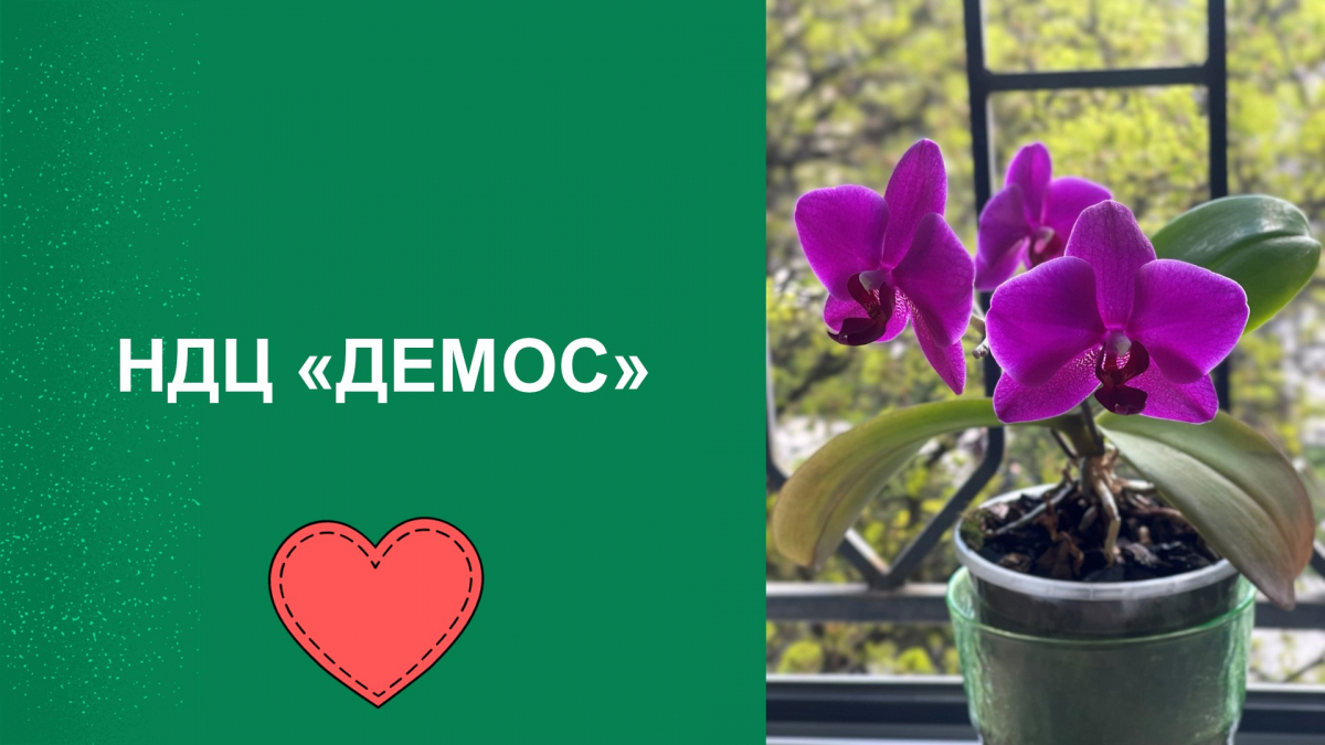 Ілюстрація до матеріалу