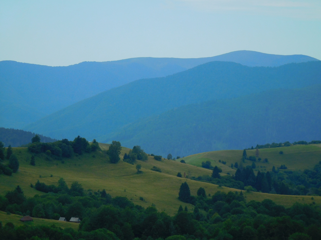 Ілюстрація до матеріалу