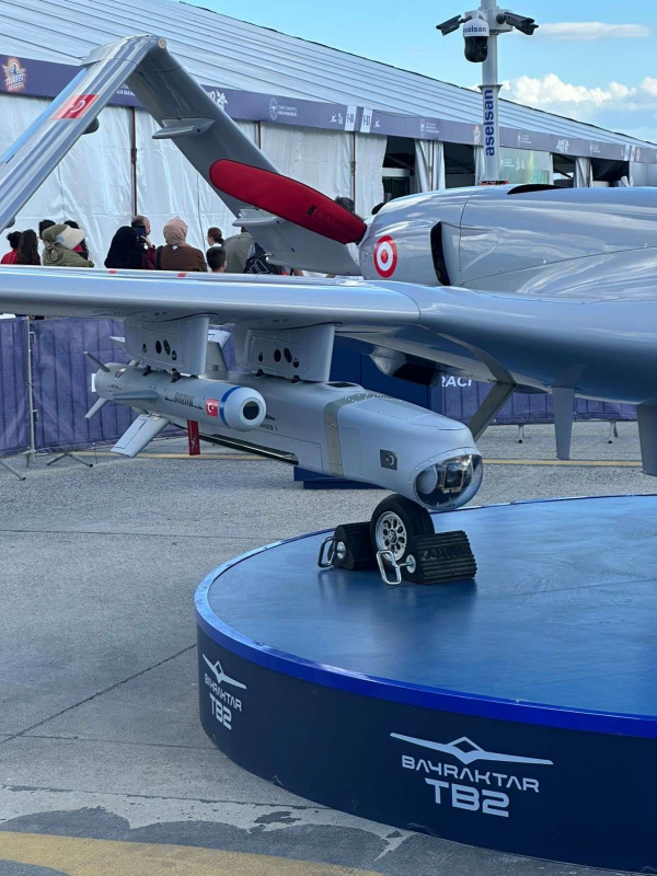 Фото з фестивалю в Туреччині