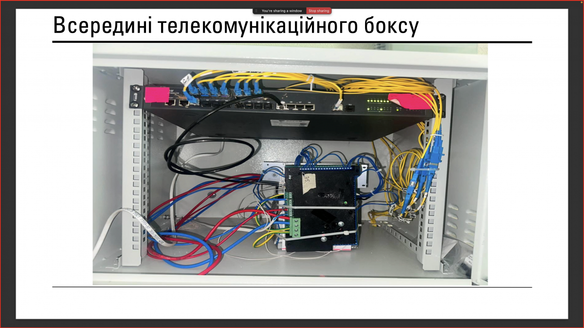 Скріншот з онлайн-лекції