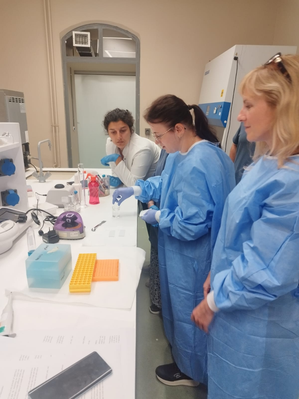 Ілюстрація до матеріалу