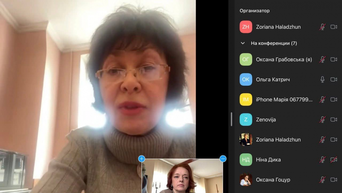 Скріншот з онлайн-семінару