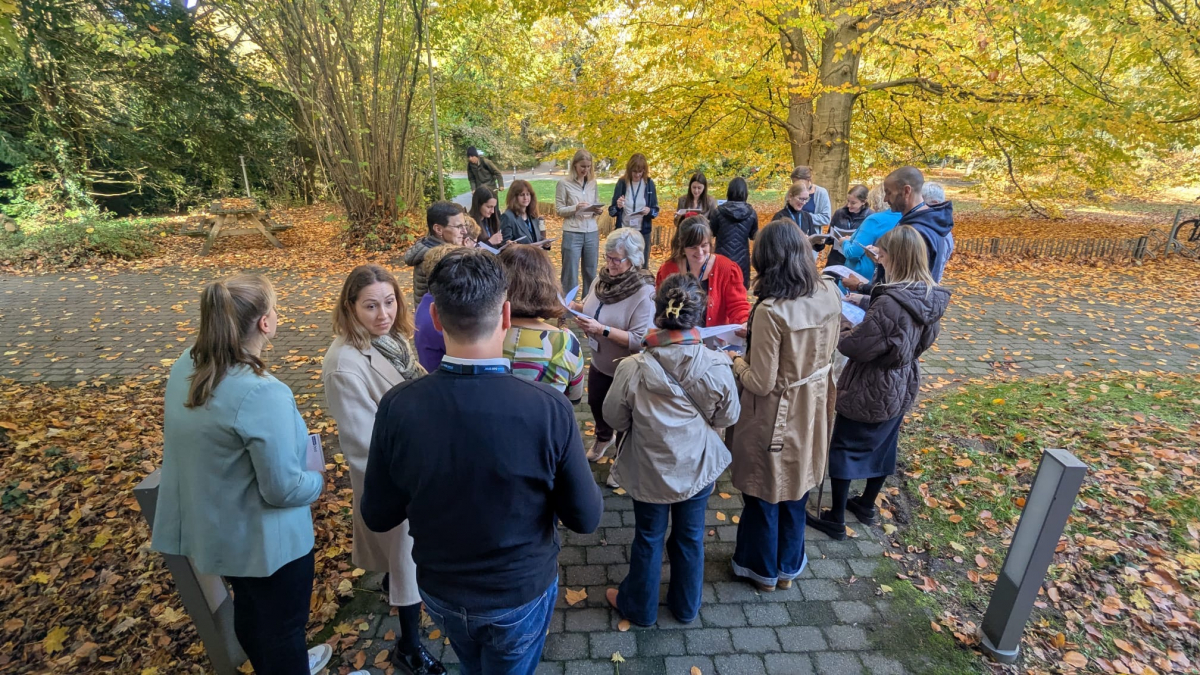 Фото із заходу в Бельгії