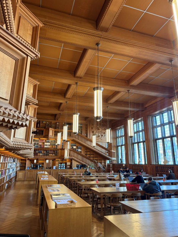 Фото із заходу в Бельгії