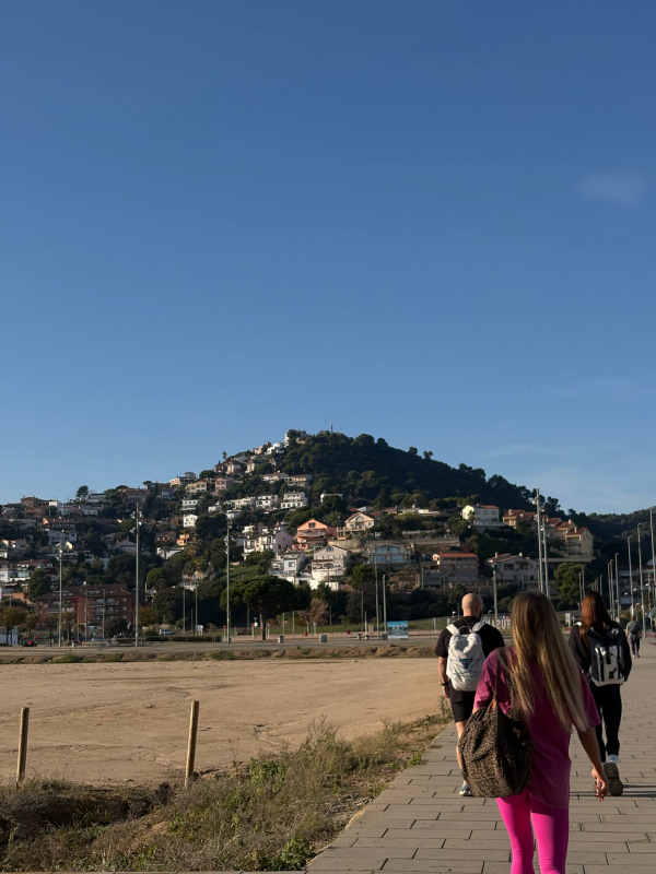 Ілюстрація до матеріалу