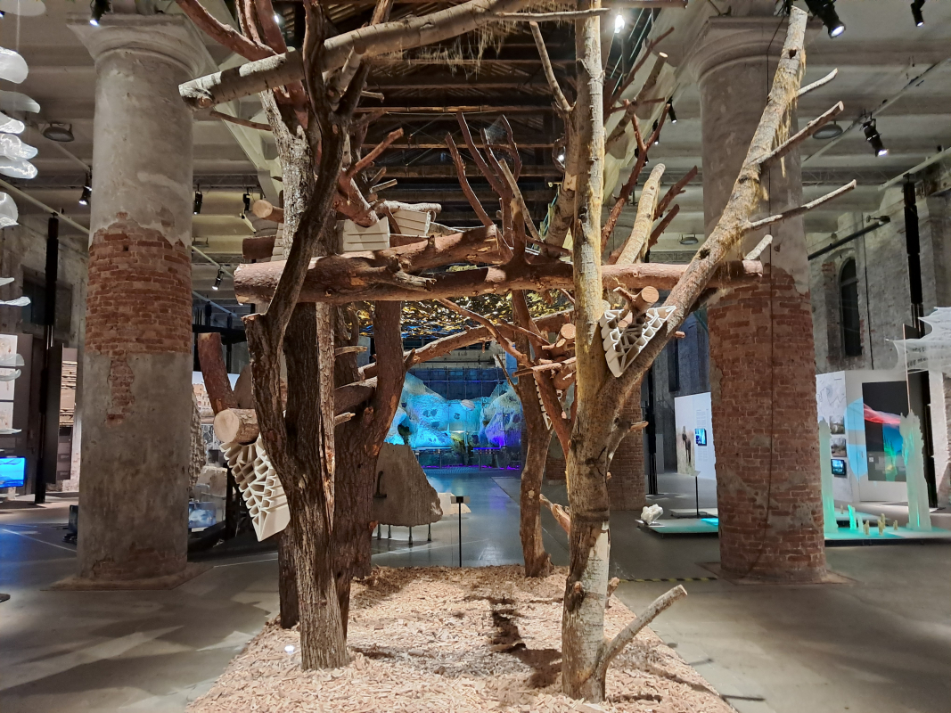 Фото з бієнале