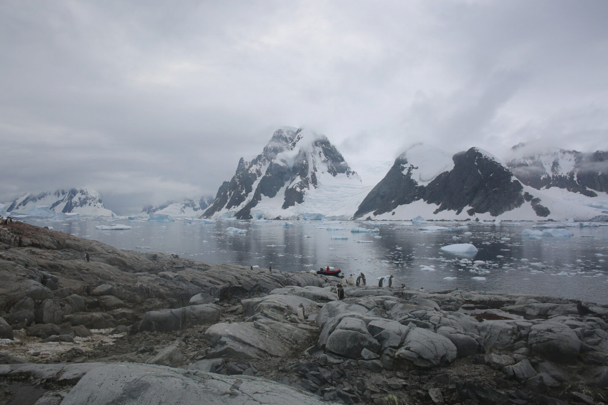 Ілюстрація до матеріалу